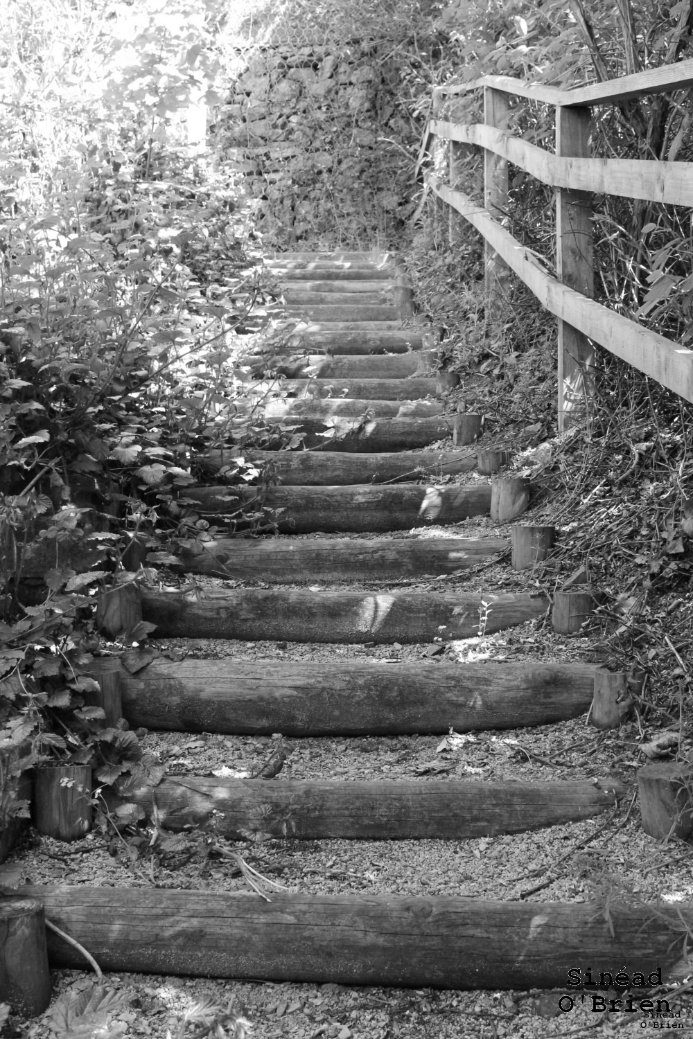 black & white photo of outdoor stone stairs