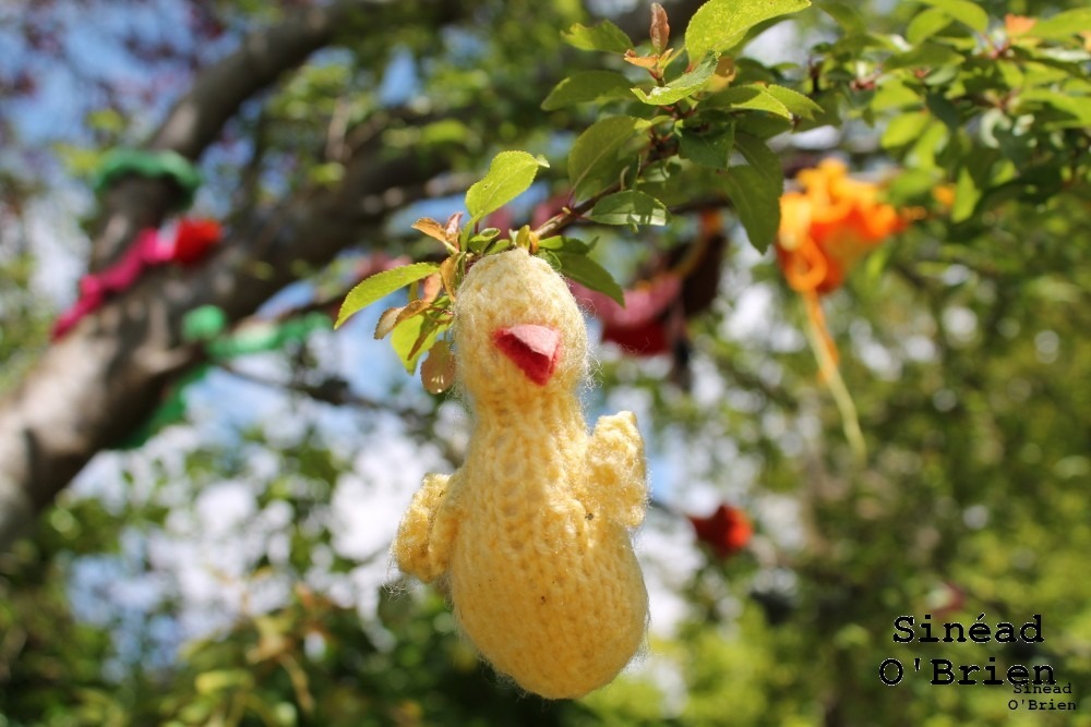 knitted duck in a tree